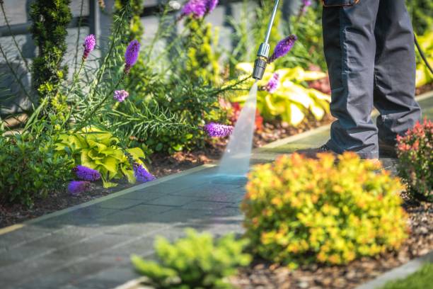 Best Parking Lot and Garage Cleaning  in Caldwell, OH